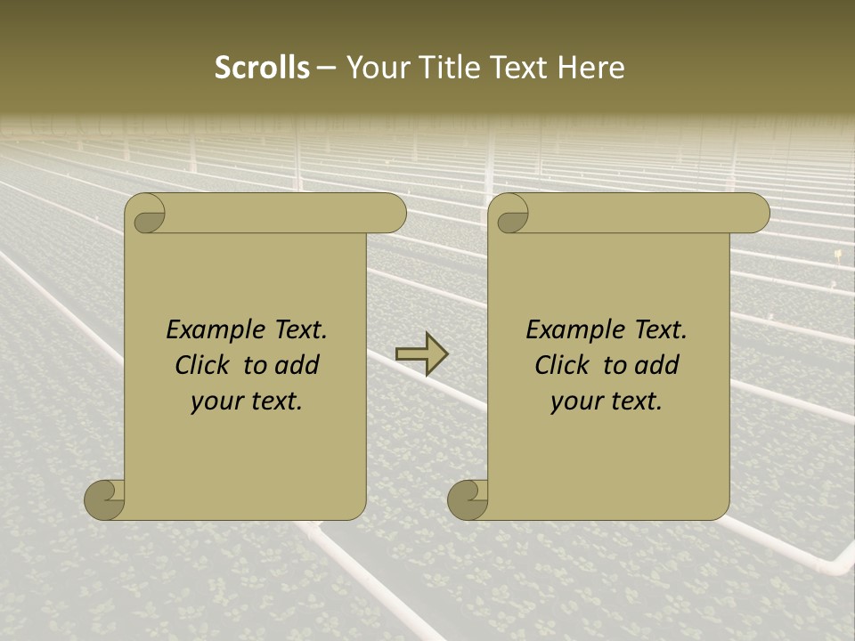 A Large Greenhouse Filled With Lots Of Plants PowerPoint Template