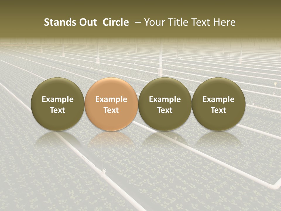 A Large Greenhouse Filled With Lots Of Plants PowerPoint Template