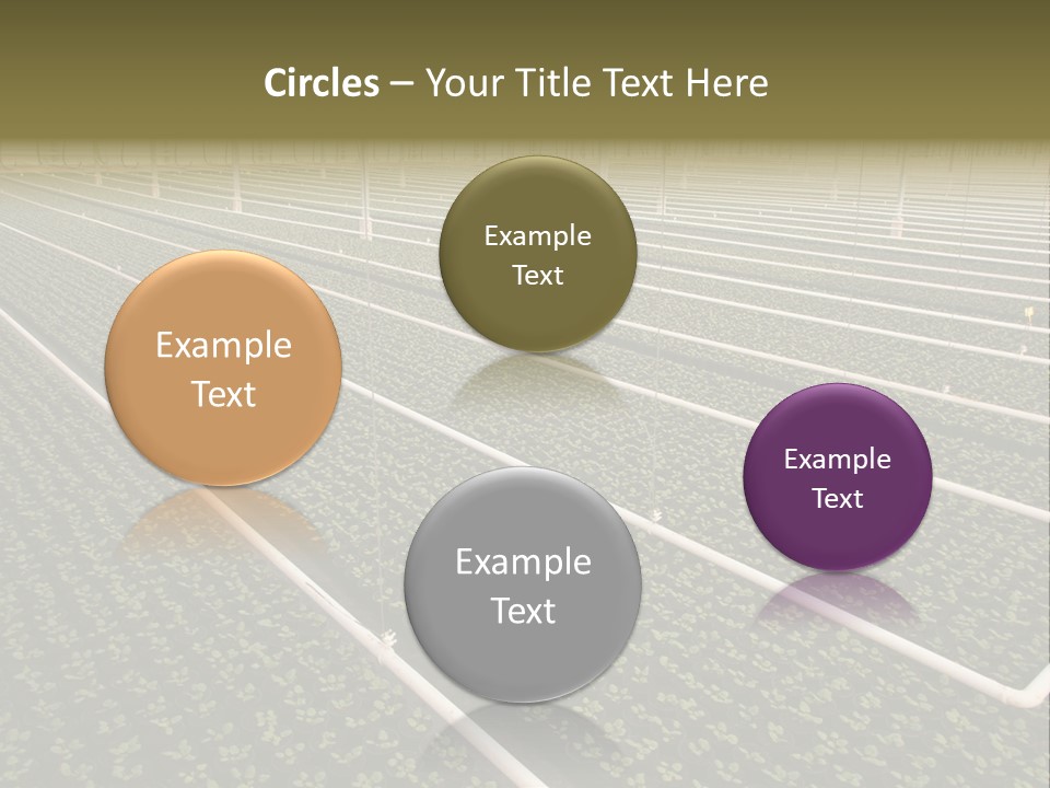 A Large Greenhouse Filled With Lots Of Plants PowerPoint Template
