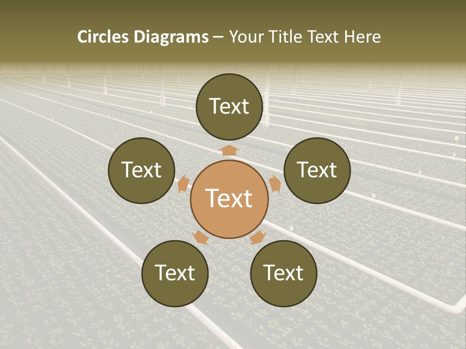 A Large Greenhouse Filled With Lots Of Plants PowerPoint Template