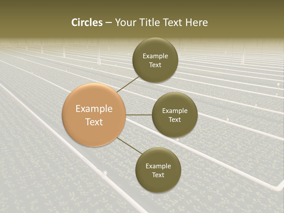 A Large Greenhouse Filled With Lots Of Plants PowerPoint Template