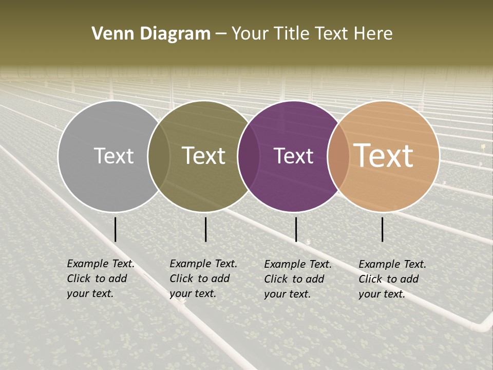 A Large Greenhouse Filled With Lots Of Plants PowerPoint Template