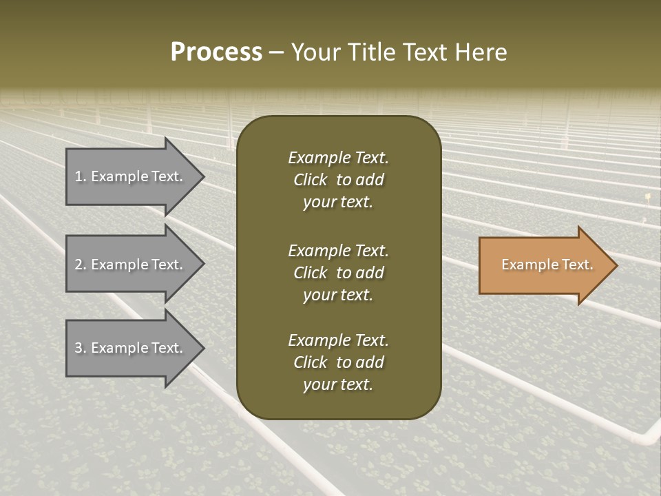 A Large Greenhouse Filled With Lots Of Plants PowerPoint Template