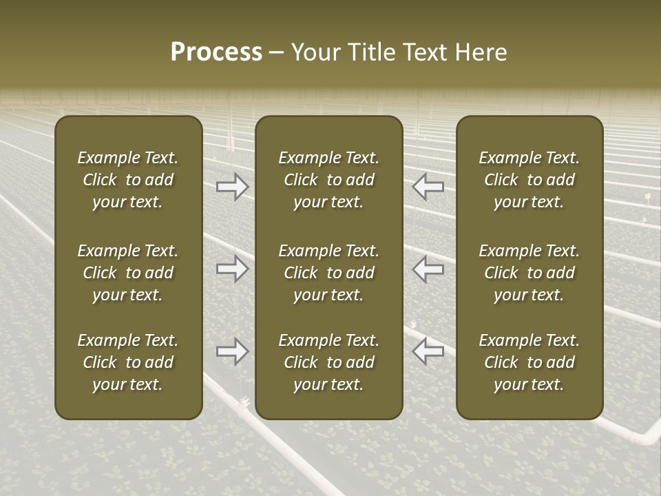 A Large Greenhouse Filled With Lots Of Plants PowerPoint Template