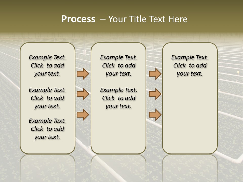 A Large Greenhouse Filled With Lots Of Plants PowerPoint Template