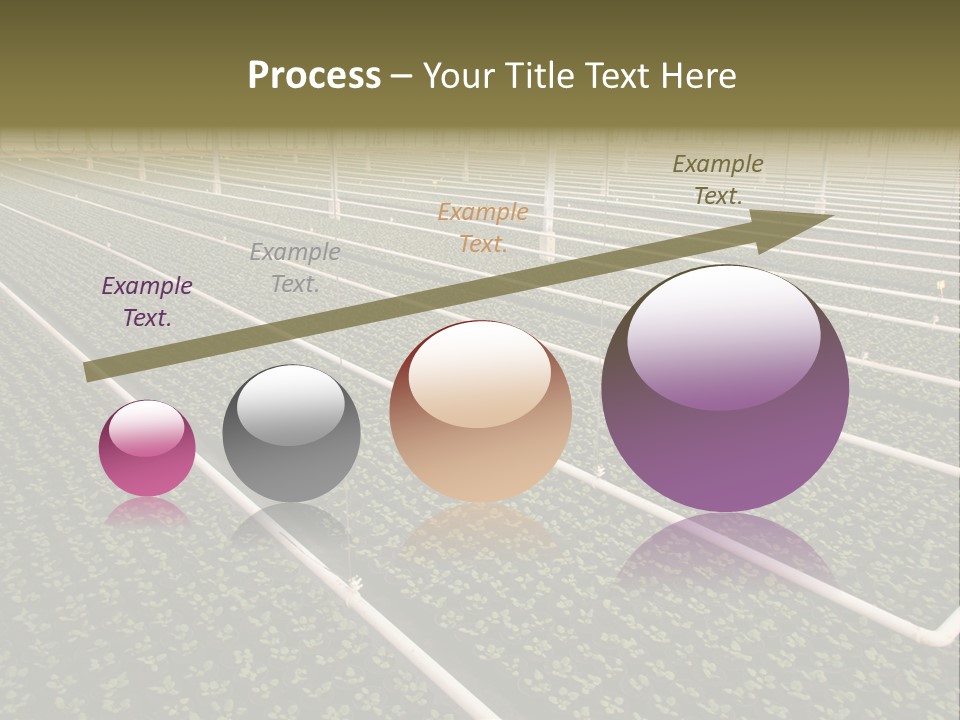 A Large Greenhouse Filled With Lots Of Plants PowerPoint Template