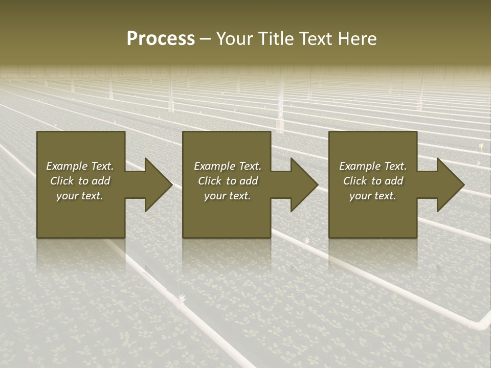 A Large Greenhouse Filled With Lots Of Plants PowerPoint Template
