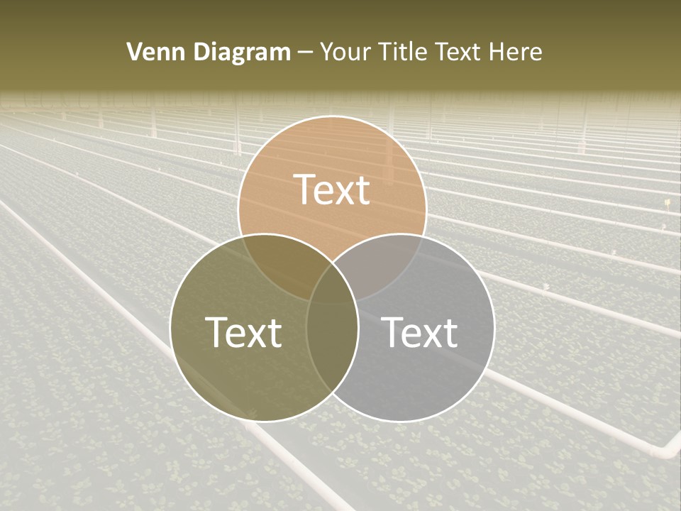 A Large Greenhouse Filled With Lots Of Plants PowerPoint Template