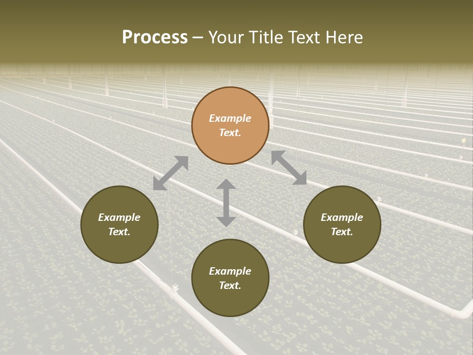 A Large Greenhouse Filled With Lots Of Plants PowerPoint Template