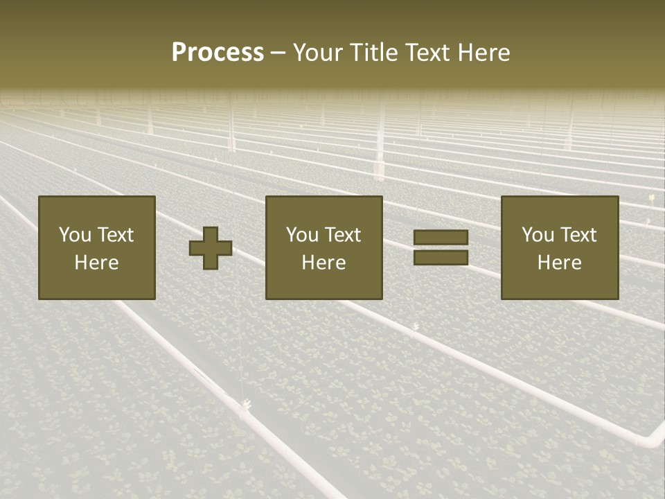 A Large Greenhouse Filled With Lots Of Plants PowerPoint Template