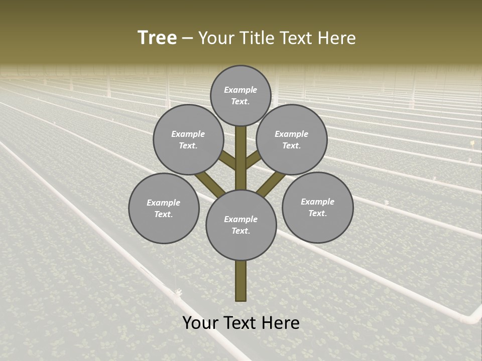 A Large Greenhouse Filled With Lots Of Plants PowerPoint Template
