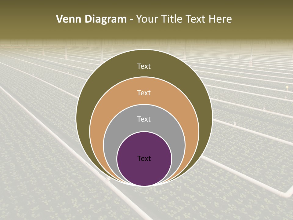 A Large Greenhouse Filled With Lots Of Plants PowerPoint Template