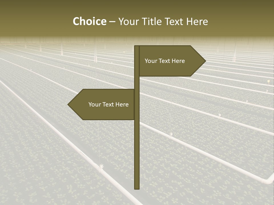 A Large Greenhouse Filled With Lots Of Plants PowerPoint Template