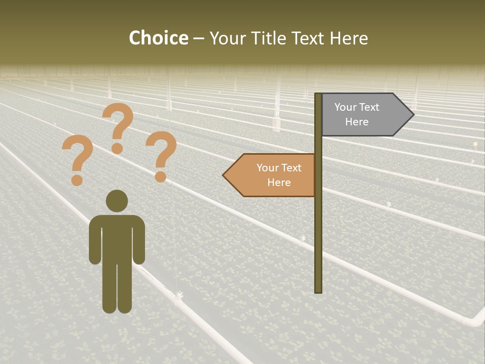 A Large Greenhouse Filled With Lots Of Plants PowerPoint Template