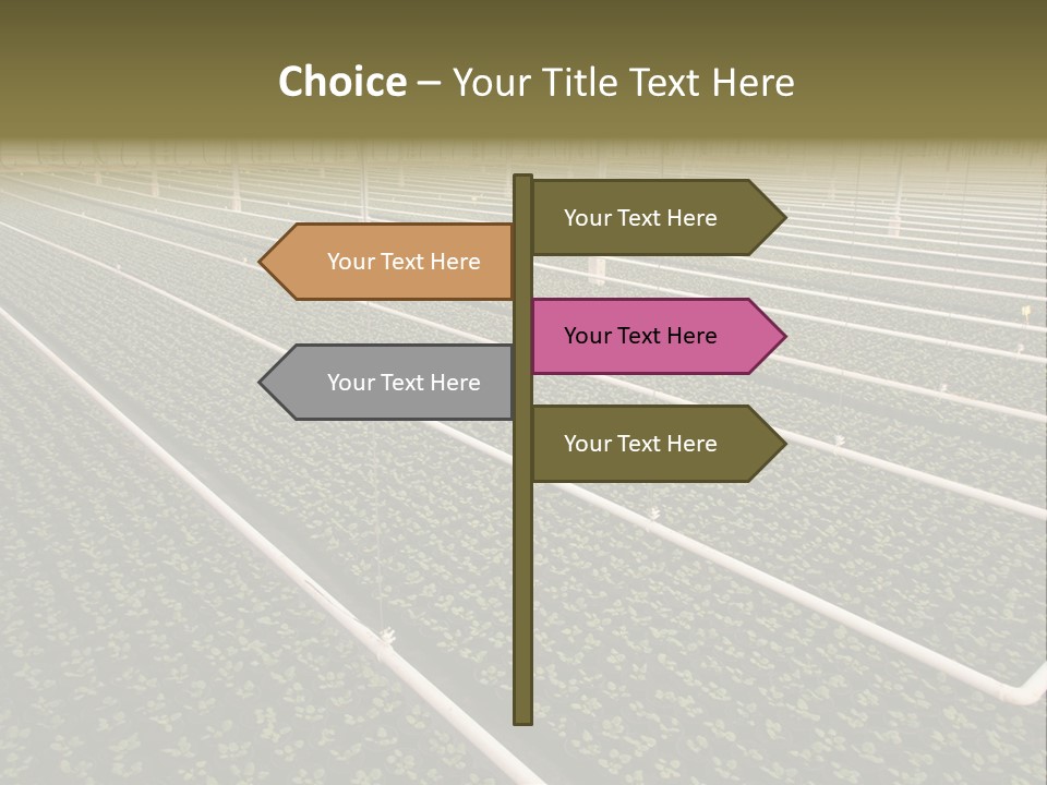 A Large Greenhouse Filled With Lots Of Plants PowerPoint Template