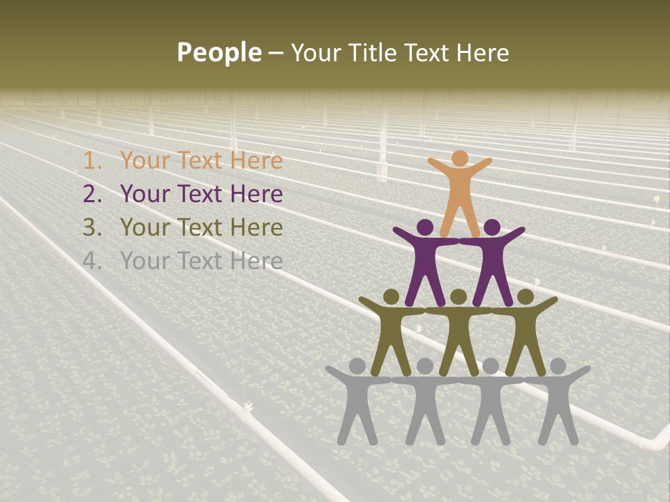 A Large Greenhouse Filled With Lots Of Plants PowerPoint Template