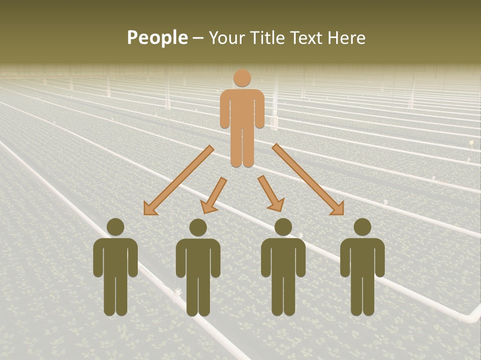 A Large Greenhouse Filled With Lots Of Plants PowerPoint Template