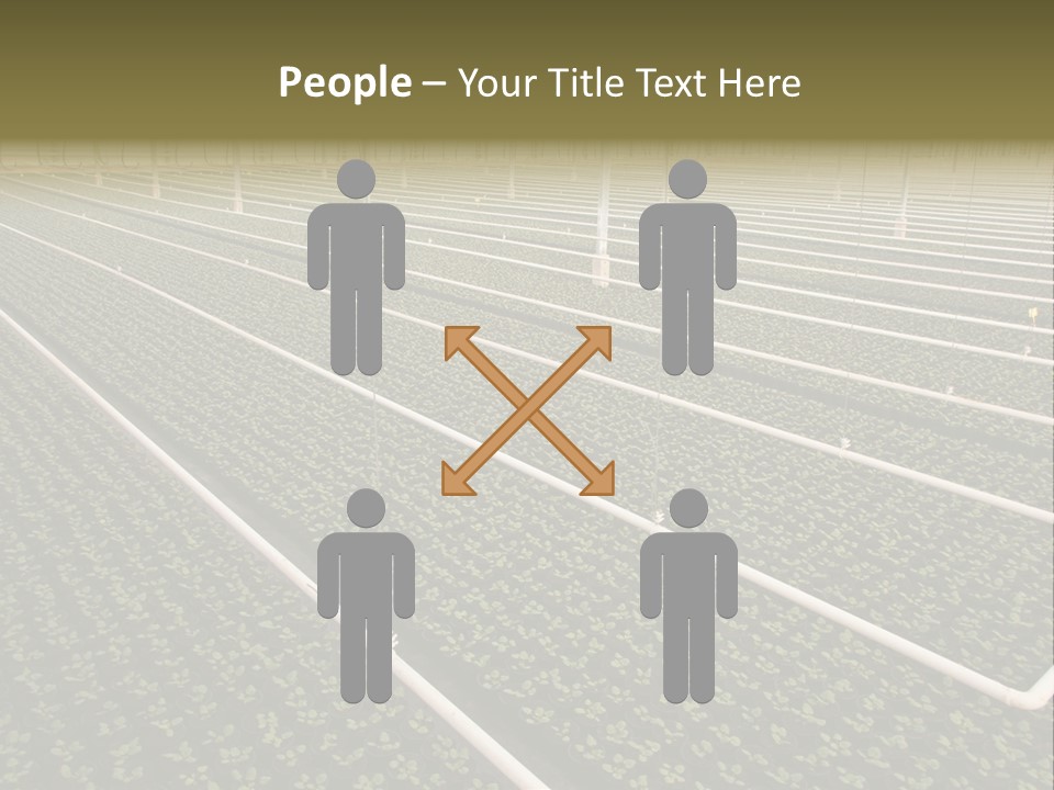 A Large Greenhouse Filled With Lots Of Plants PowerPoint Template