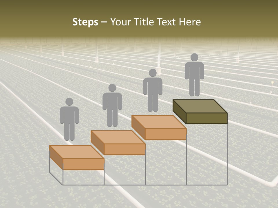 A Large Greenhouse Filled With Lots Of Plants PowerPoint Template