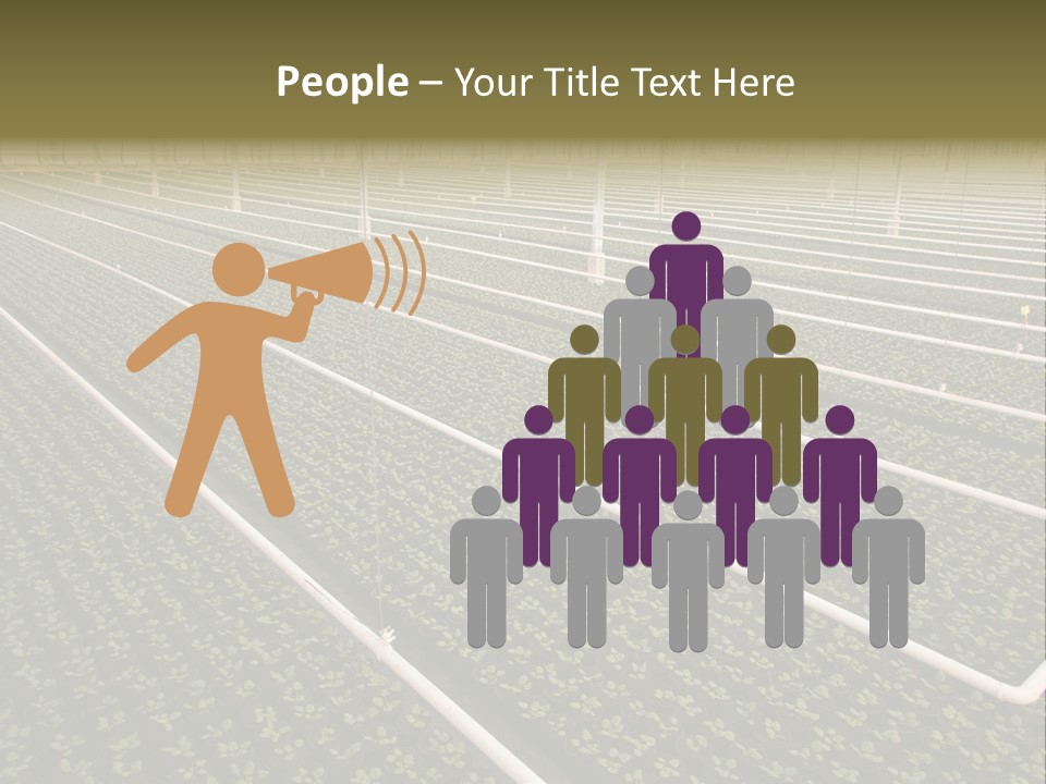 A Large Greenhouse Filled With Lots Of Plants PowerPoint Template