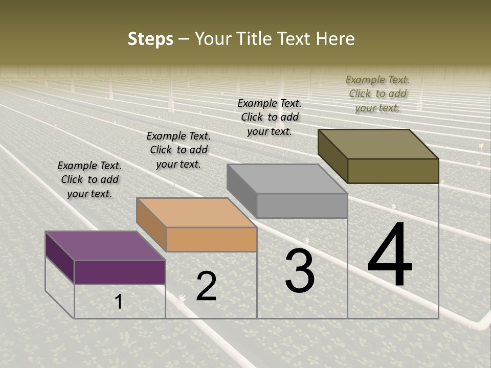 A Large Greenhouse Filled With Lots Of Plants PowerPoint Template
