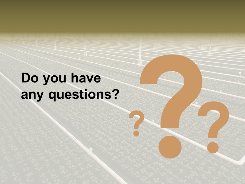 A Large Greenhouse Filled With Lots Of Plants PowerPoint Template