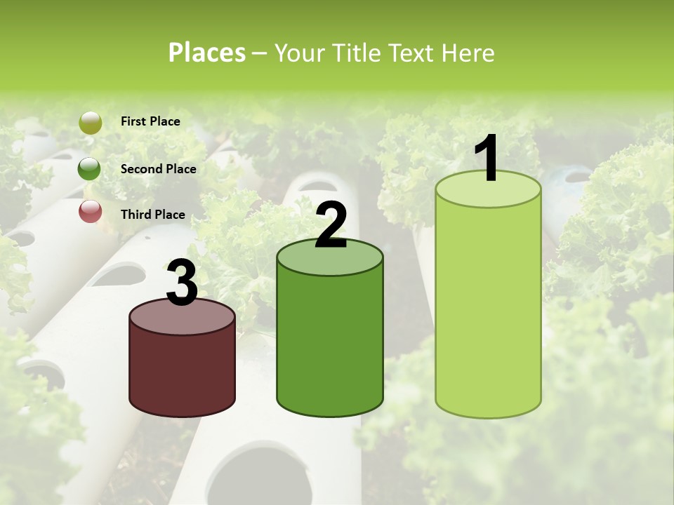 Growing Highland Cultivated PowerPoint Template