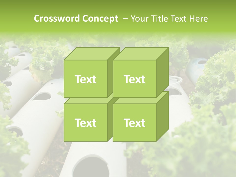 Growing Highland Cultivated PowerPoint Template