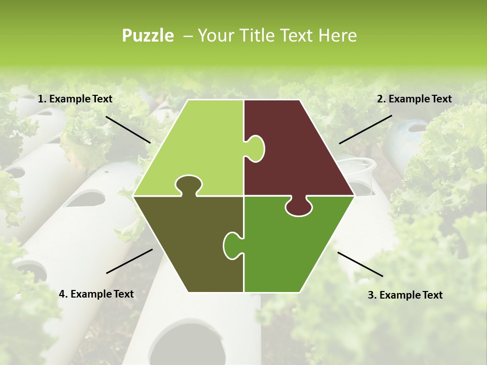 Growing Highland Cultivated PowerPoint Template