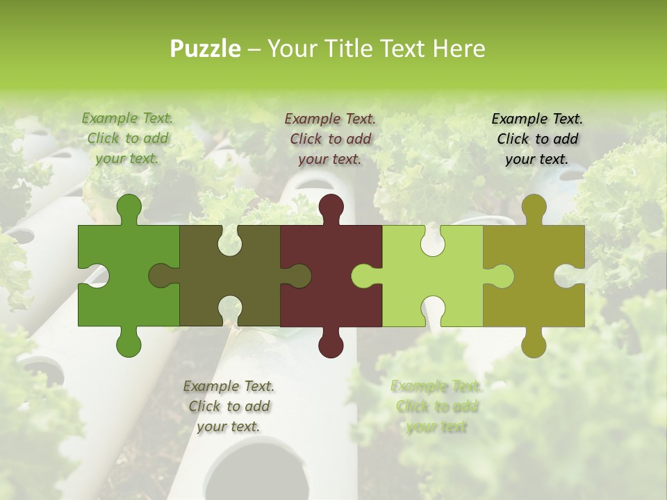 Growing Highland Cultivated PowerPoint Template