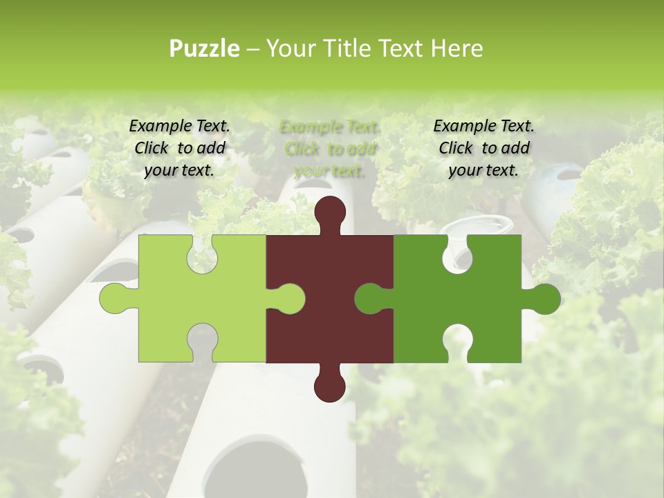 Growing Highland Cultivated PowerPoint Template
