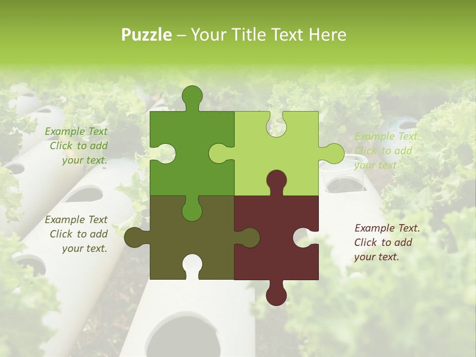 Growing Highland Cultivated PowerPoint Template