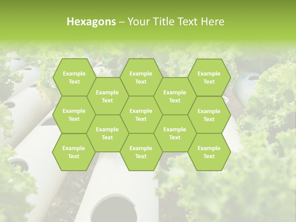 Growing Highland Cultivated PowerPoint Template