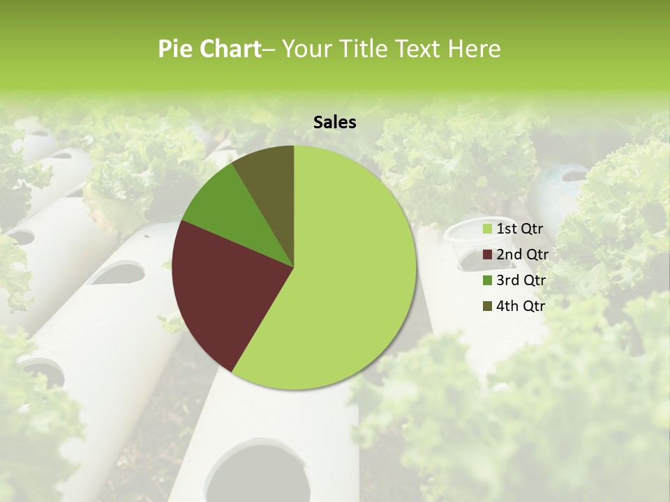 Growing Highland Cultivated PowerPoint Template