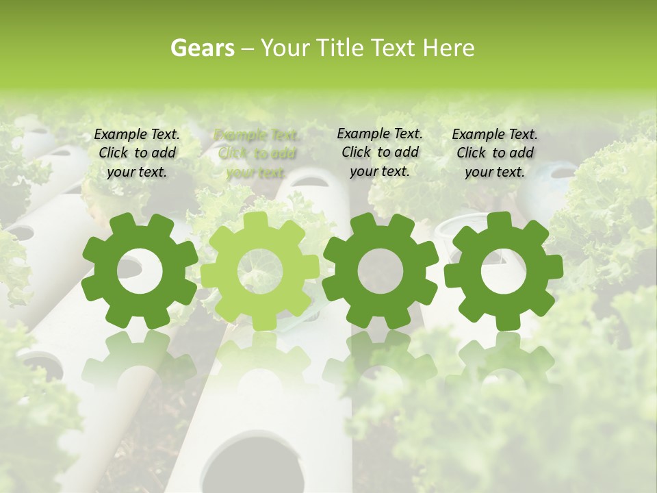 Growing Highland Cultivated PowerPoint Template