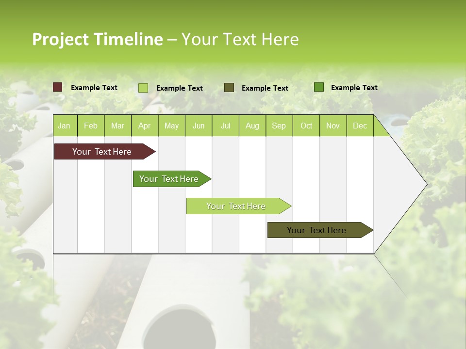 Growing Highland Cultivated PowerPoint Template