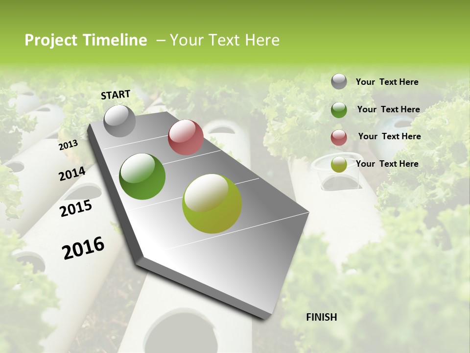 Growing Highland Cultivated PowerPoint Template