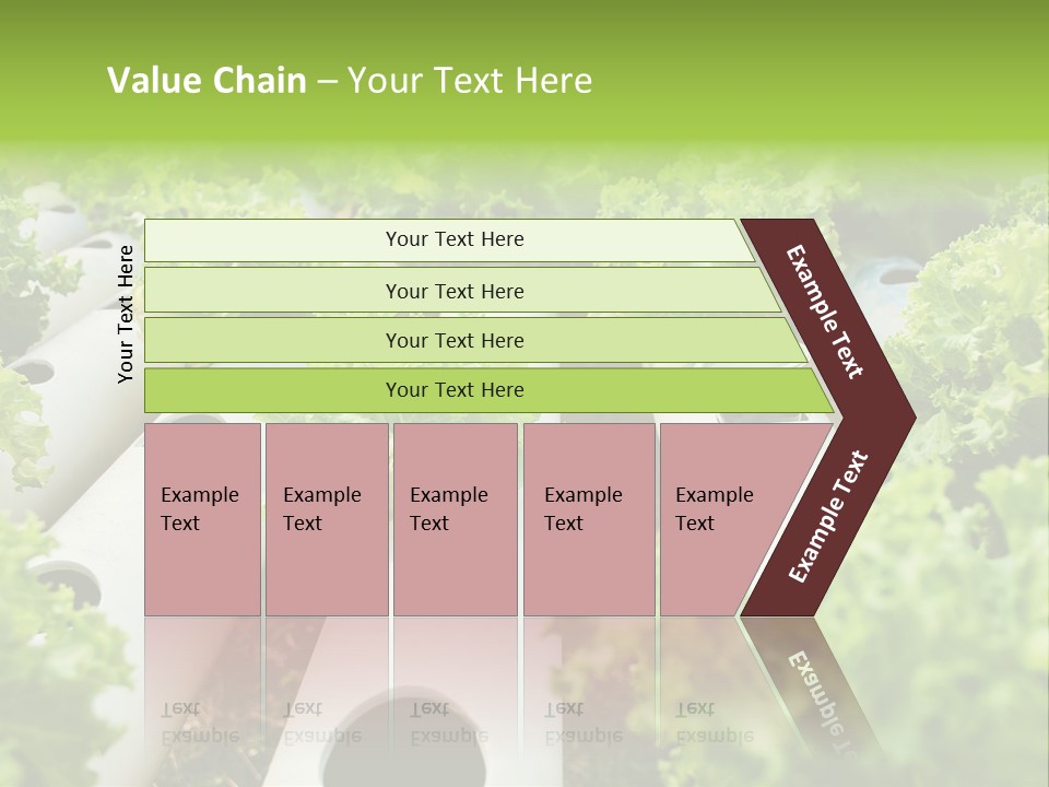 Growing Highland Cultivated PowerPoint Template