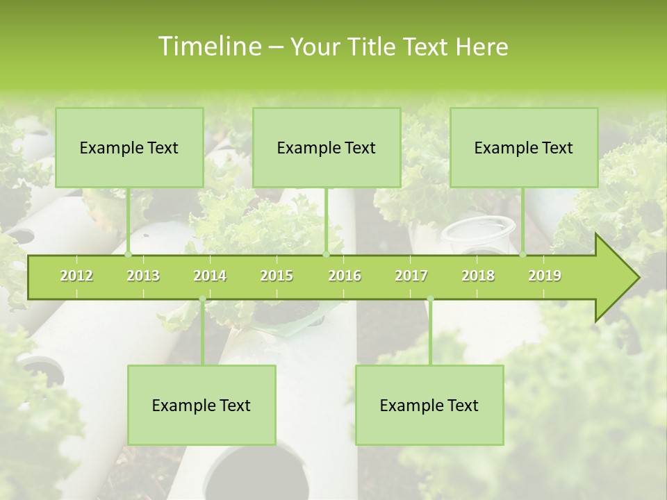 Growing Highland Cultivated PowerPoint Template