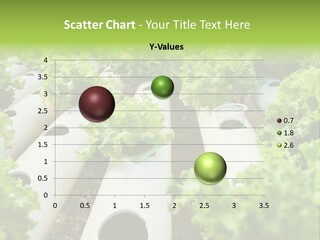 Growing Highland Cultivated PowerPoint Template