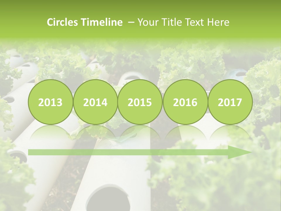 Growing Highland Cultivated PowerPoint Template