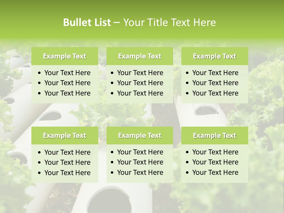 Growing Highland Cultivated PowerPoint Template