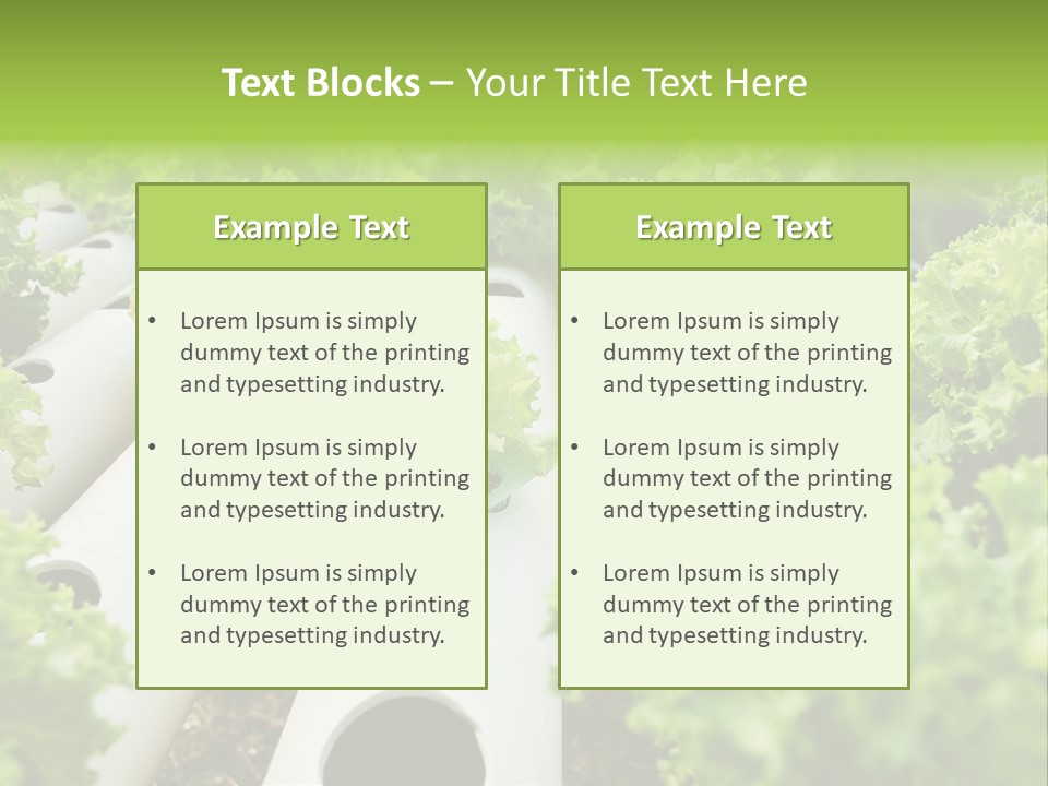 Growing Highland Cultivated PowerPoint Template