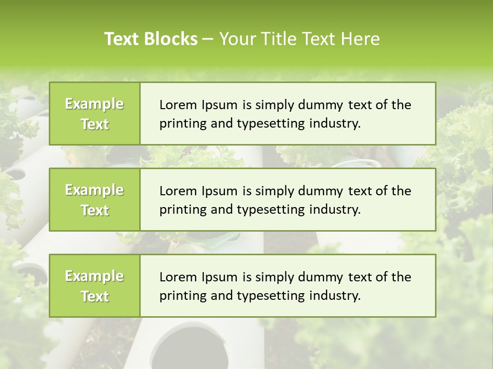 Growing Highland Cultivated PowerPoint Template