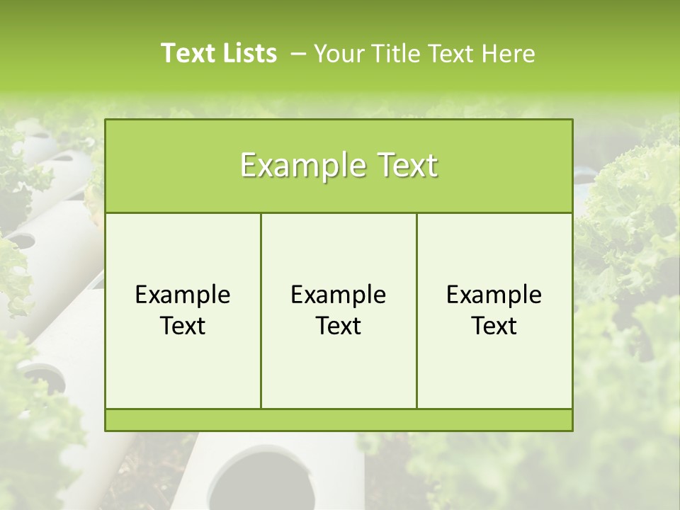 Growing Highland Cultivated PowerPoint Template