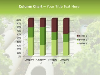 Growing Highland Cultivated PowerPoint Template