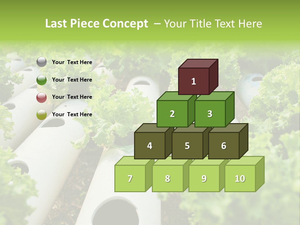 Growing Highland Cultivated PowerPoint Template