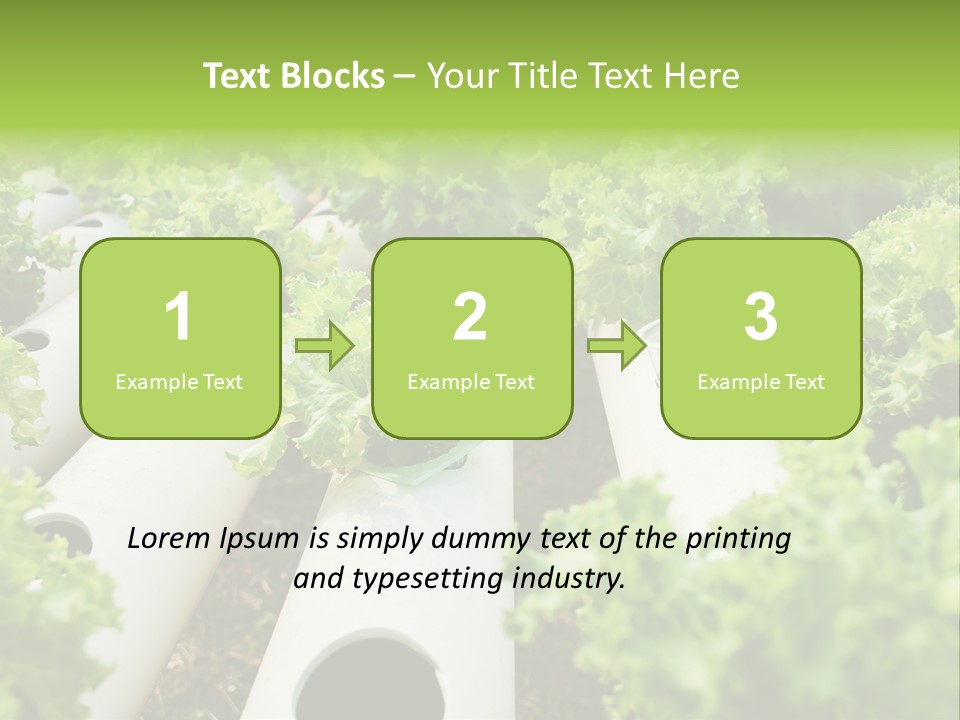Growing Highland Cultivated PowerPoint Template