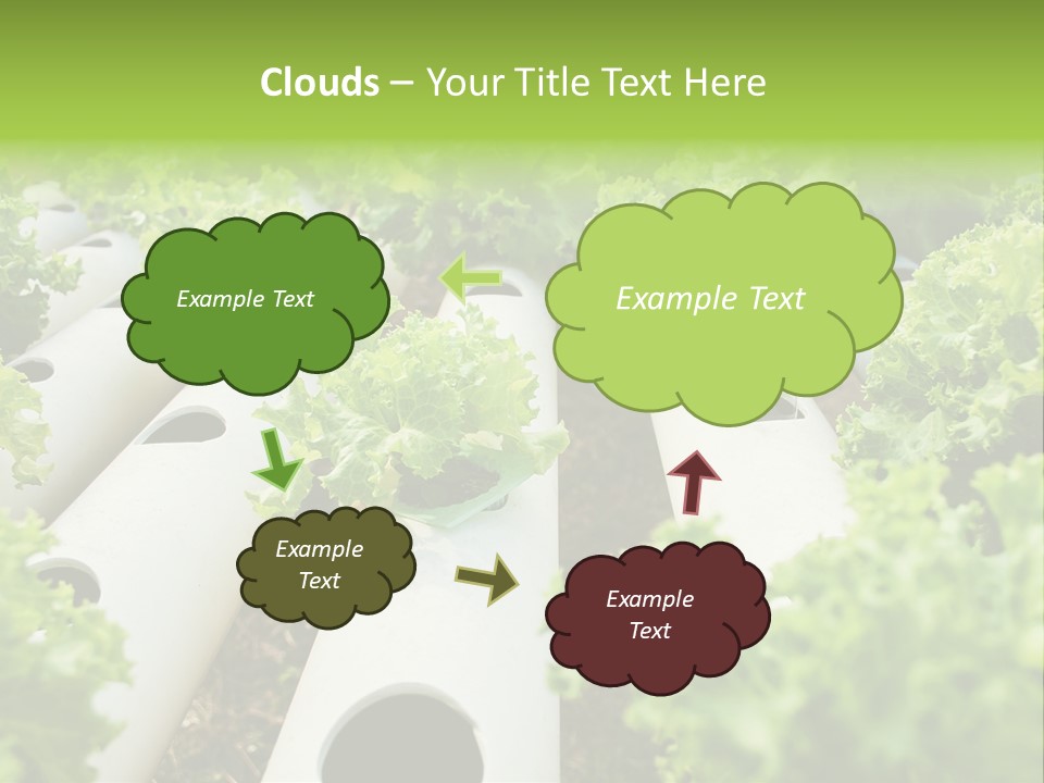 Growing Highland Cultivated PowerPoint Template