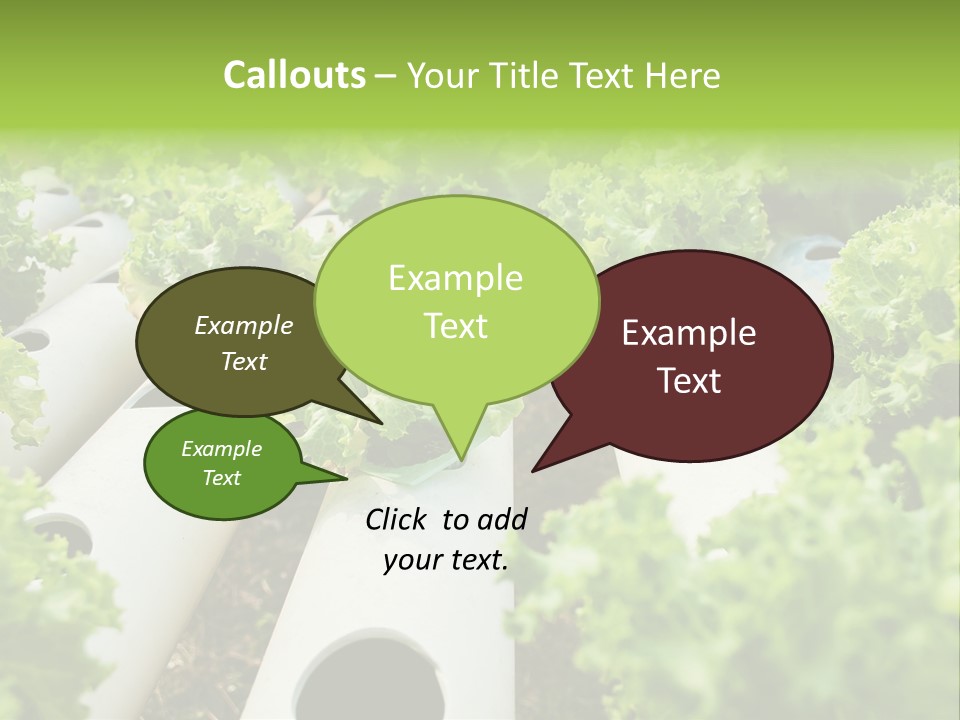 Growing Highland Cultivated PowerPoint Template